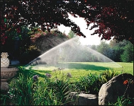 Double sprinkler- click to enlarge